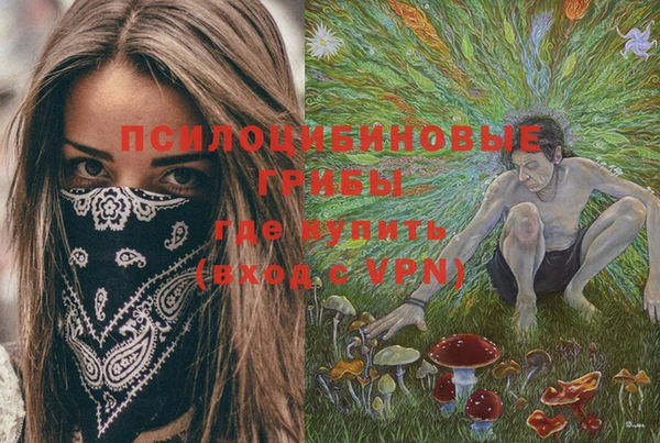 стаф Алексеевка